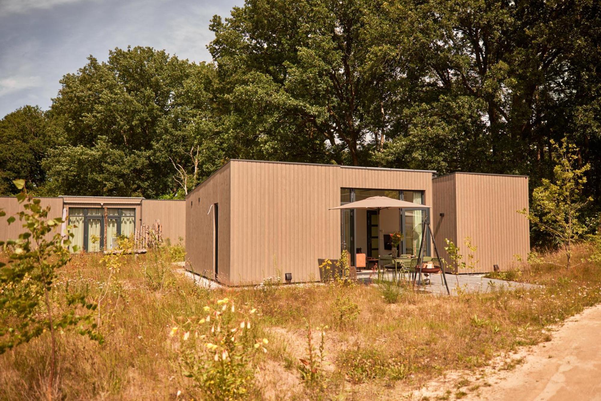 Ferienhaus Zeegser Duinen Zeegse