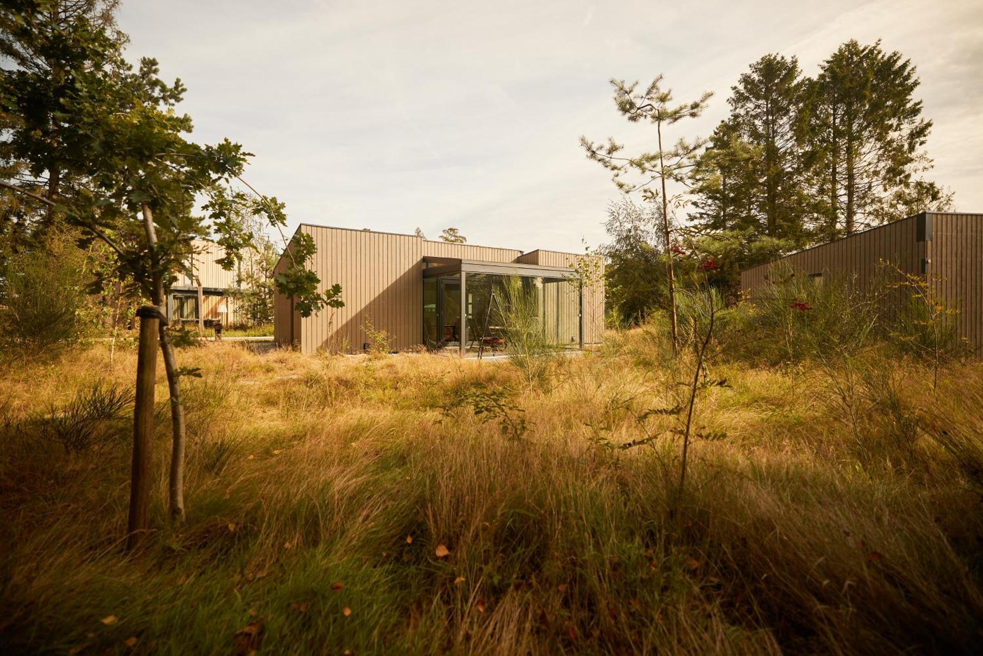 Zeegser Duinen Ferienhaus Zeegse