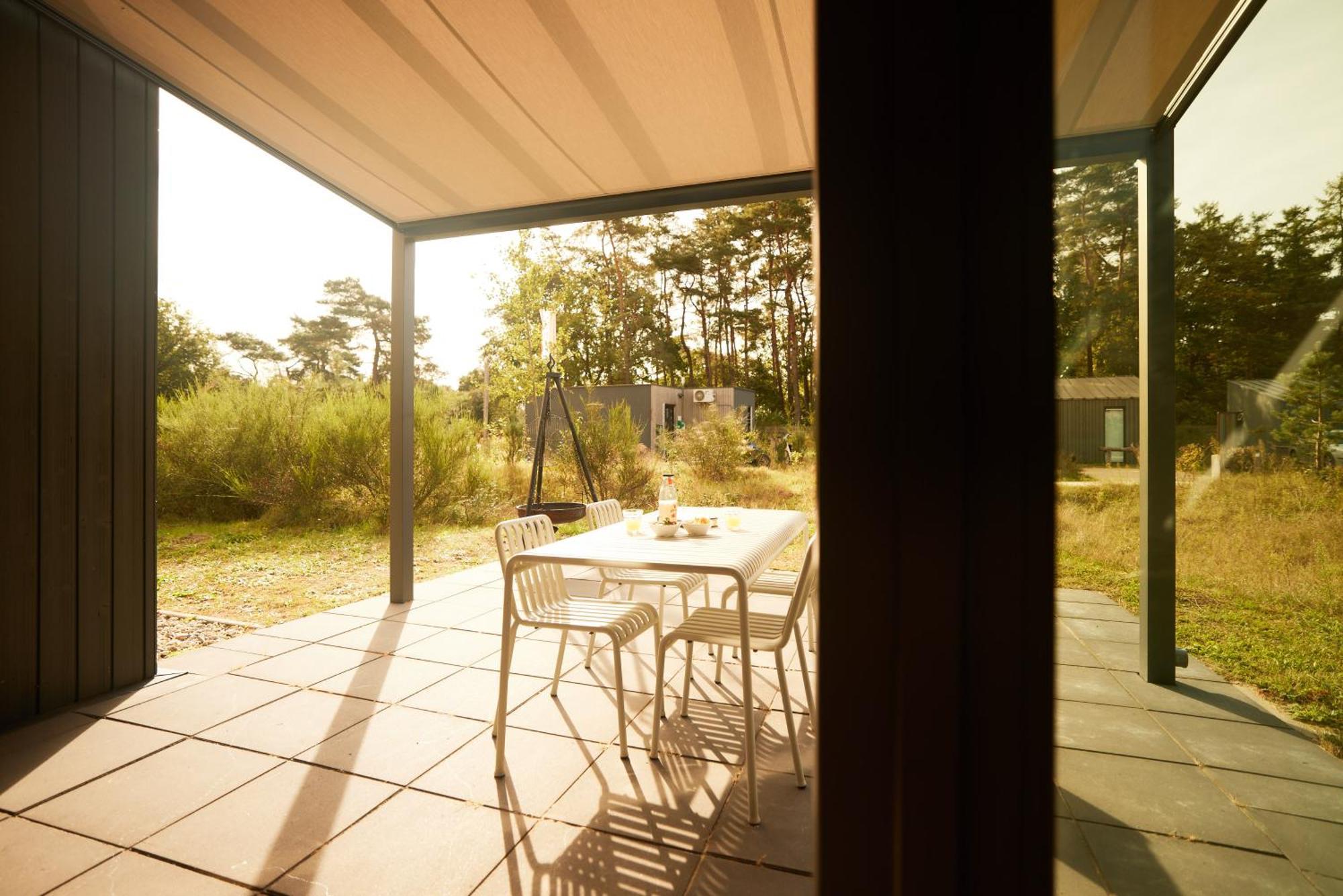 Zeegser Duinen *